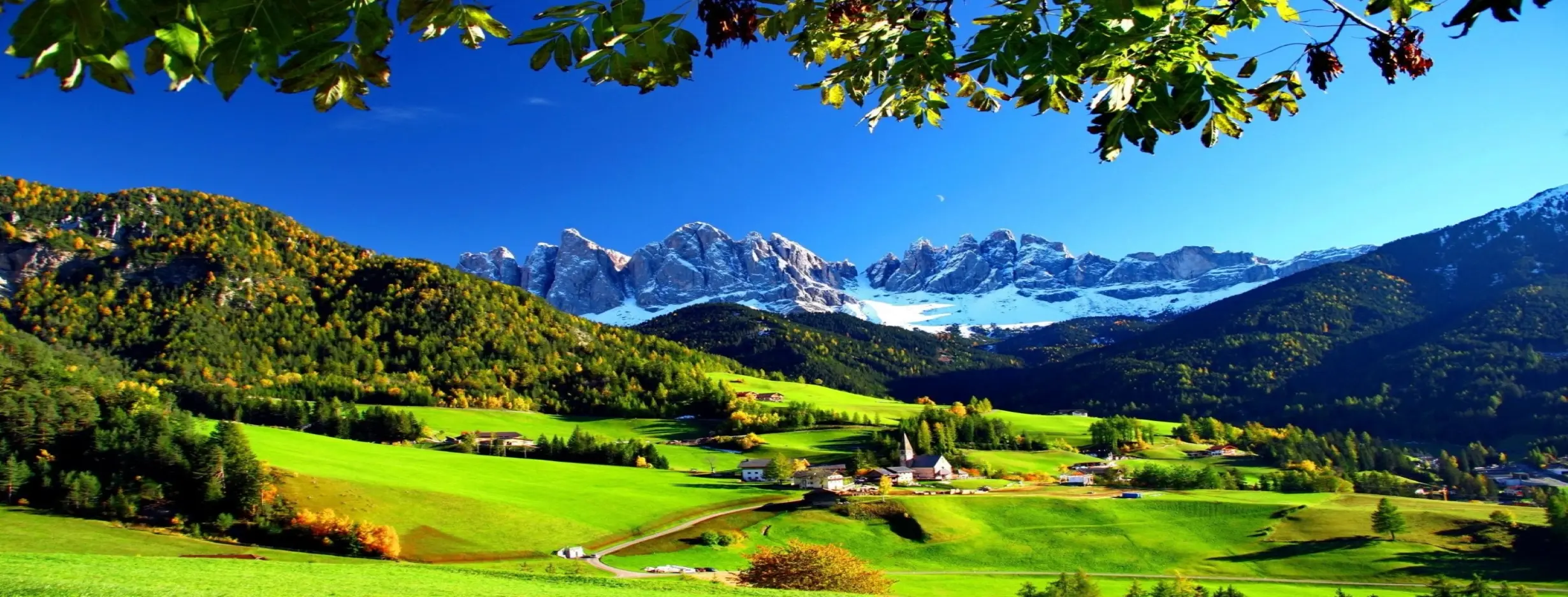 Image for Scenic Views